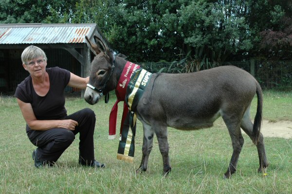 Clovercrest Miss Maisie, Pukekohe Show Young Stock and Supreme Champion 2006